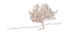 firetree